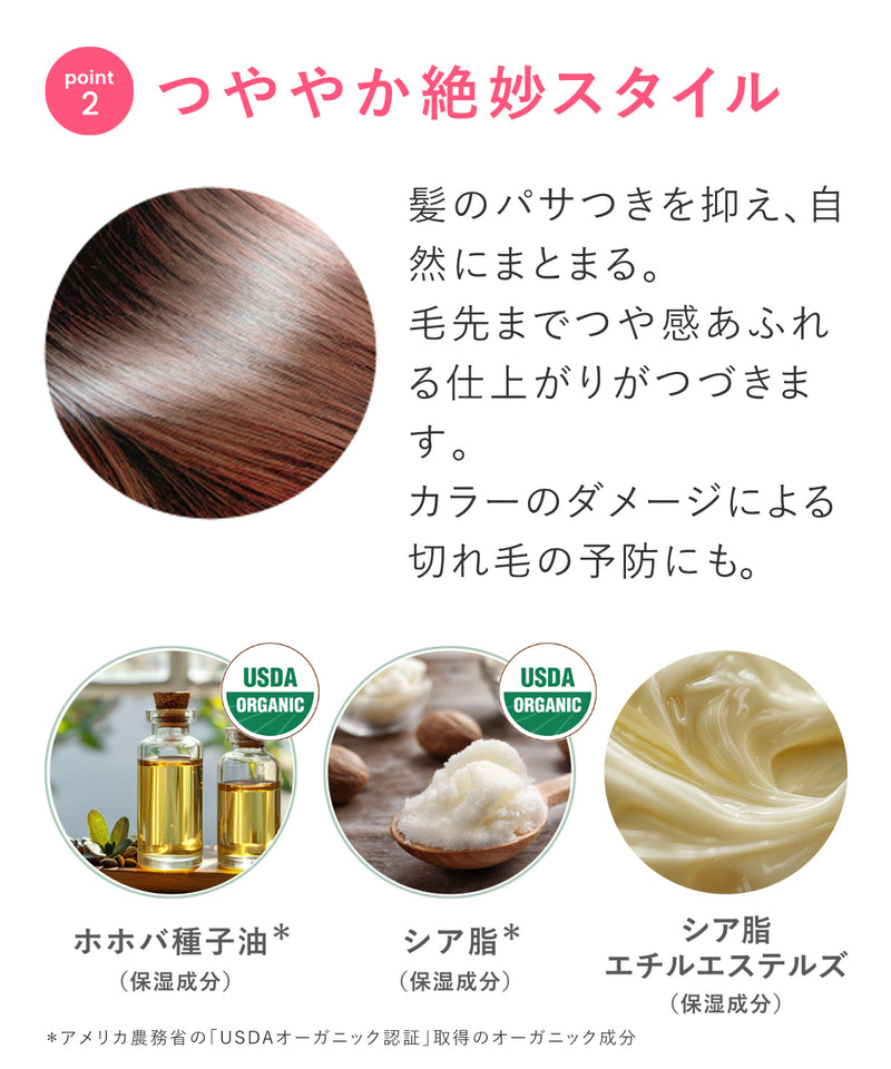 夏川メガンコラボセット